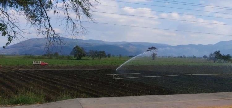 Crisis hídrica por el cultivo de caña