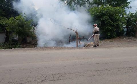 Reportan aumento en casos de dengue
