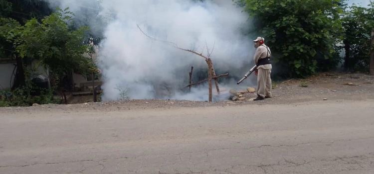 Reportan aumento en casos de dengue