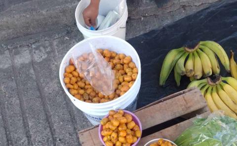 Alta demanda de jobo en San Martín Chalchicuautla