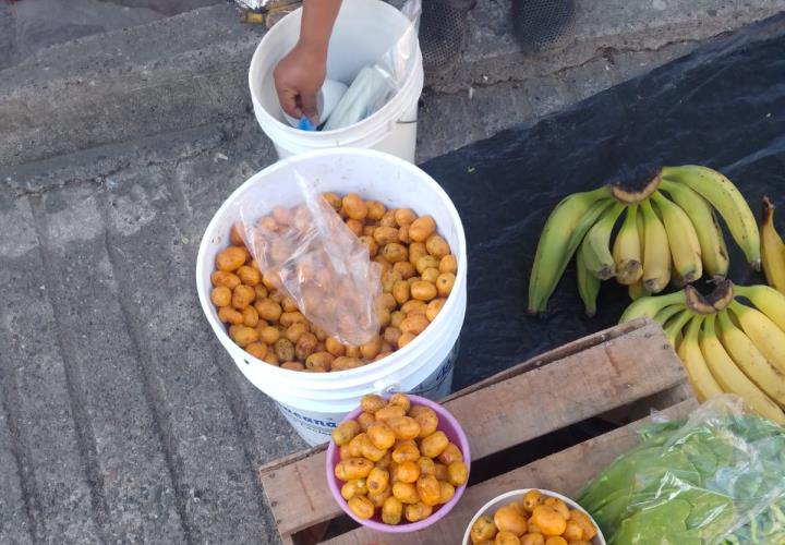 Alta demanda de jobo en San Martín Chalchicuautla