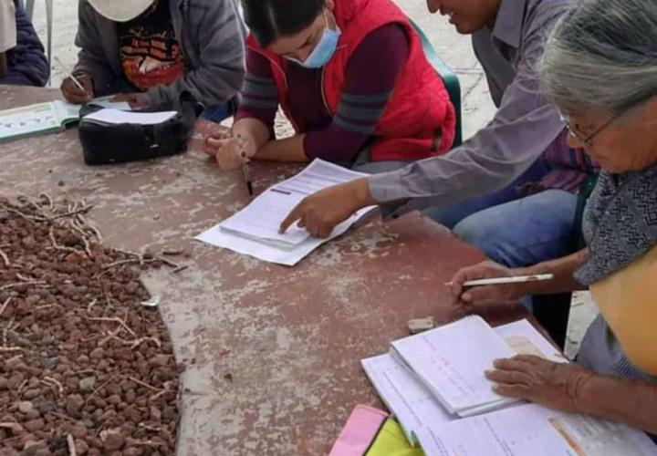 En Hidalgo, mil 214 personas adultas mayores concluyeron algún nivel de educación básica o se alfabetizaron