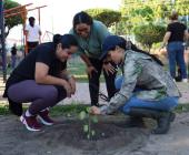 Invitan a jornada De reforestación 