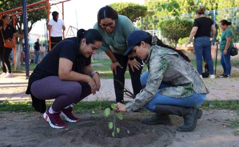 Invitan a jornada De reforestación 
