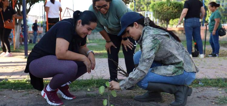 Invitan a jornada De reforestación 