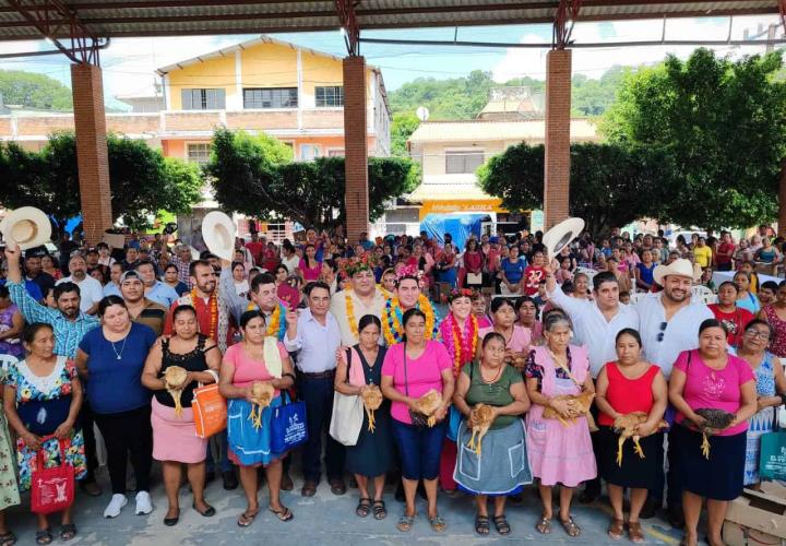 Vientres ovinos y aves de doble propósito, para habitantes de Jaltocán