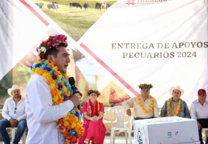 Vientres ovinos y aves de doble propósito, para habitantes de Jaltocán