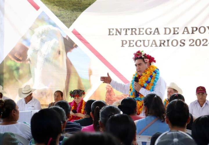 Vientres ovinos y aves de doble propósito, para habitantes de Jaltocán