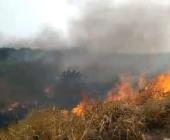 Enfermo mental provocó incendio