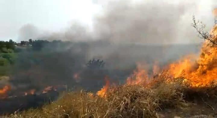 Enfermo mental provocó incendio