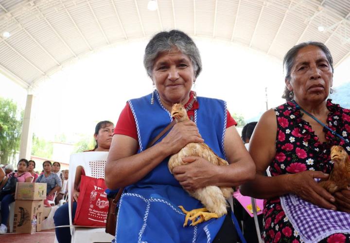 Productores de Huazalingo y Calnali recibieron apoyos pecuarios y agrícolas