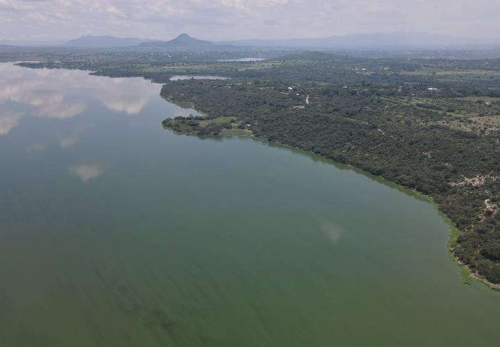 Presa Endhó, libre del lirio acuático en un 98 %