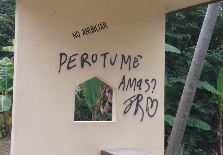 Vandalizan parada de San Luisito