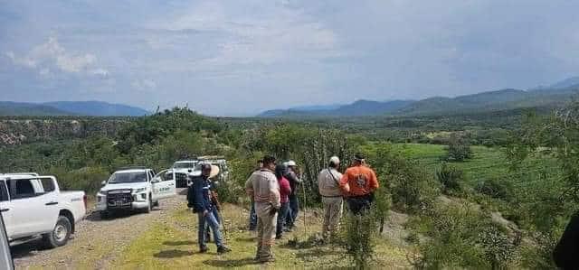 Hermanos desaparecidos  