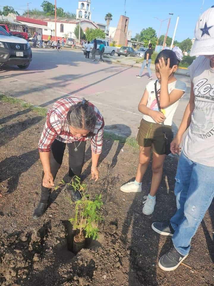 Ejidatarios reforestaron