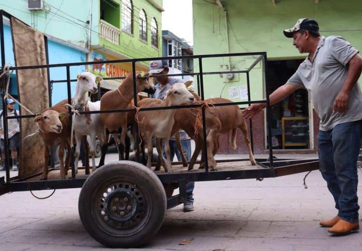 Entregó Saderh importantes apoyos en Alfajayucan, Jacala y Pisaflores