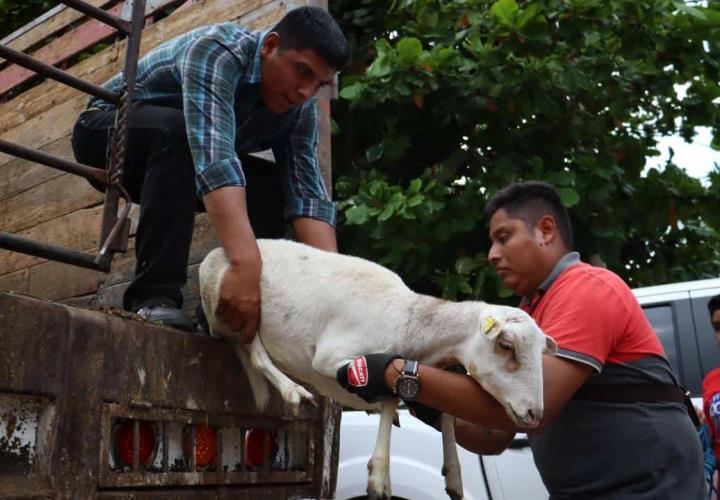 Entregó Saderh importantes apoyos en Alfajayucan, Jacala y Pisaflores