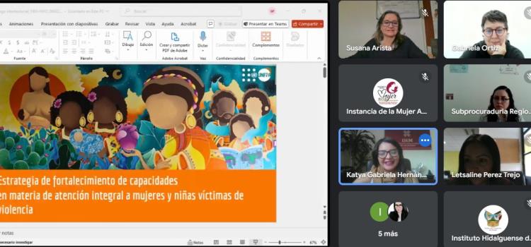 UNFPA e IHM preparan Modelo de Atención Integral a Mujeres en Tulancingo