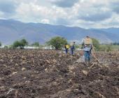 Ranchos serán supervisados