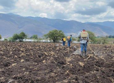 Ranchos serán supervisados