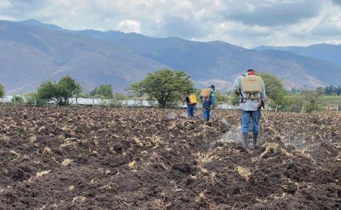 Ranchos serán supervisados
