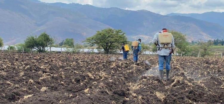 Ranchos serán supervisados