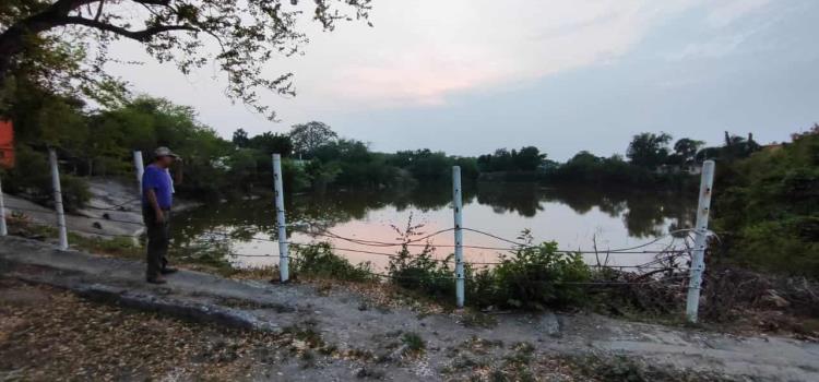 Avistaron lagarto en La Presa del Chapó 