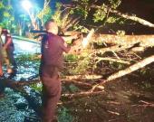 Policía Municipal liberó andador Axtla-Cómoca