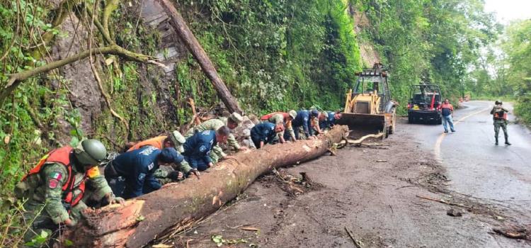 Liberan carretera en Tlanchinol, tras deslave 