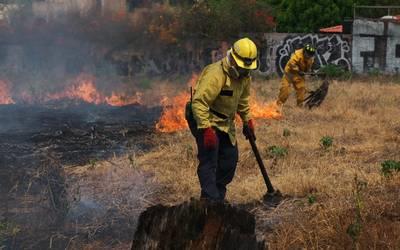 Incendio movilizó a unidades de rescate   
