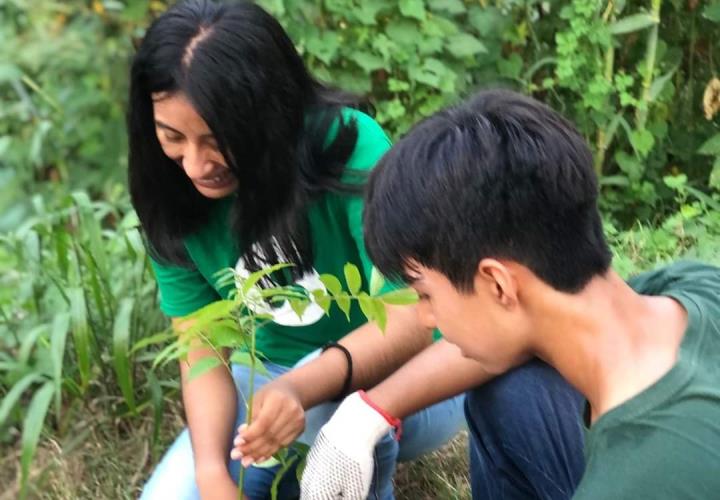 Activistas llaman a la reforestación de espacios en el municipio