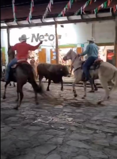 Toro invadió tienda comercial en San Martín