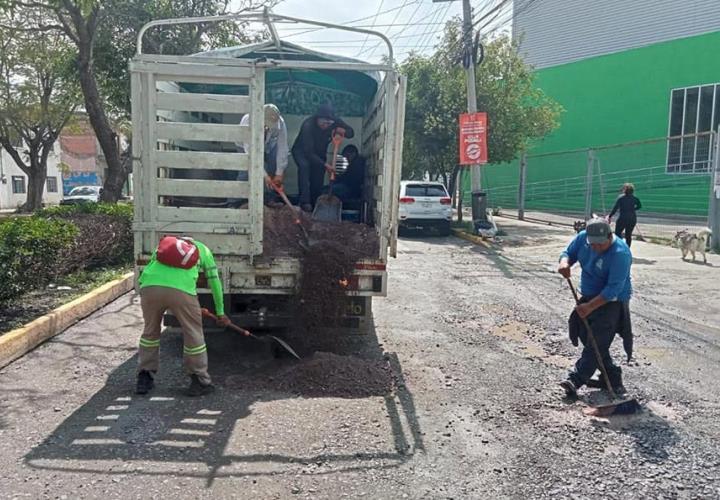 Rehabilitación de calle Zenón sigue 