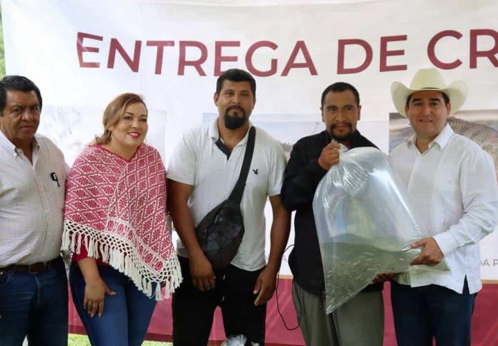 Apoya SADERH a mujeres del campo, con la entrega de Huertos Familiares