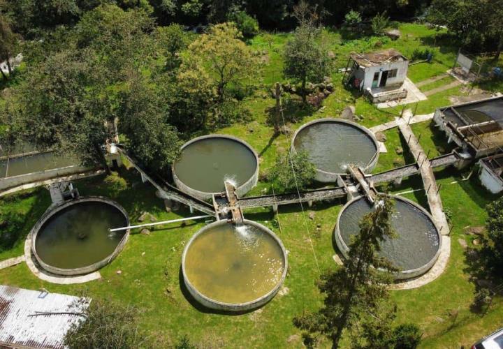 Apoya SADERH a mujeres del campo, con la entrega de Huertos Familiares