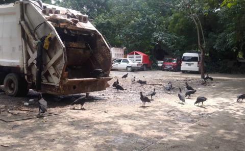 Insalubridad en el estacionamiento de Eco centralita