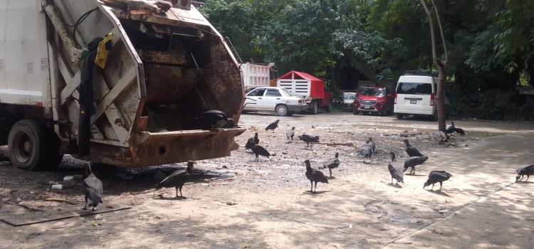 Insalubridad en el estacionamiento de Eco centralita