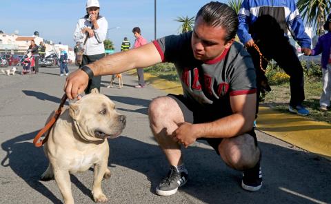 Invita la SSH a prevenir mordeduras de animales