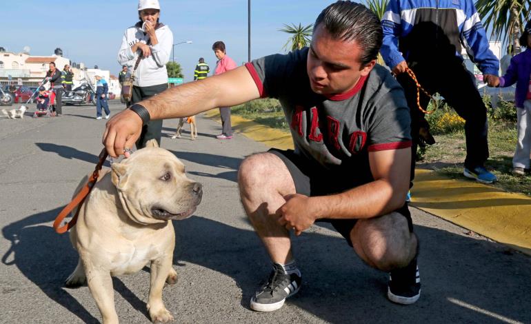 Invita la SSH a prevenir mordeduras de animales