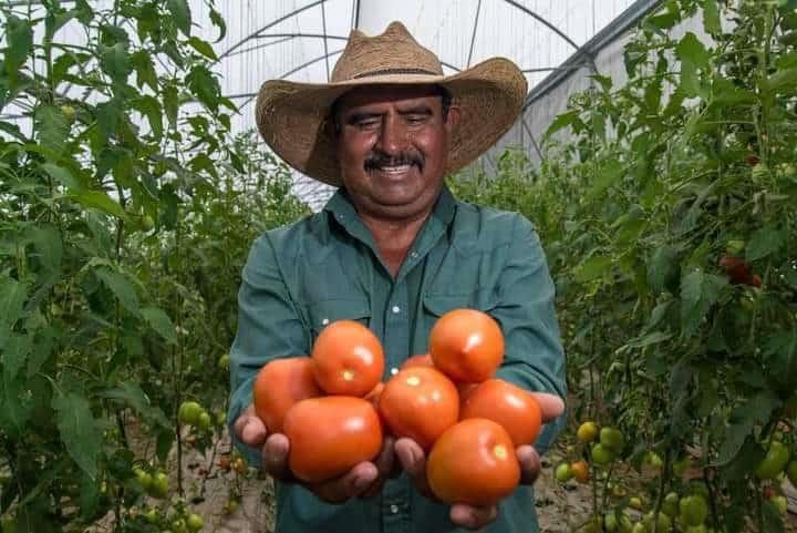 Son prioridad alimentos saludables del campo