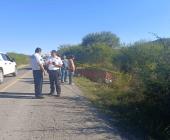 Murió en la carretera